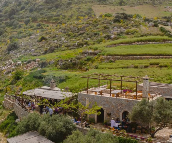 ΑΓΡΟΚΤΗΜΑ Peskesi 10 Χρόνια 1 1