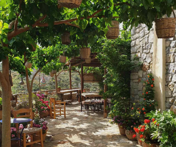 ΑΓΡΟΚΤΗΜΑ Peskesi 10 Χρόνια 6 1