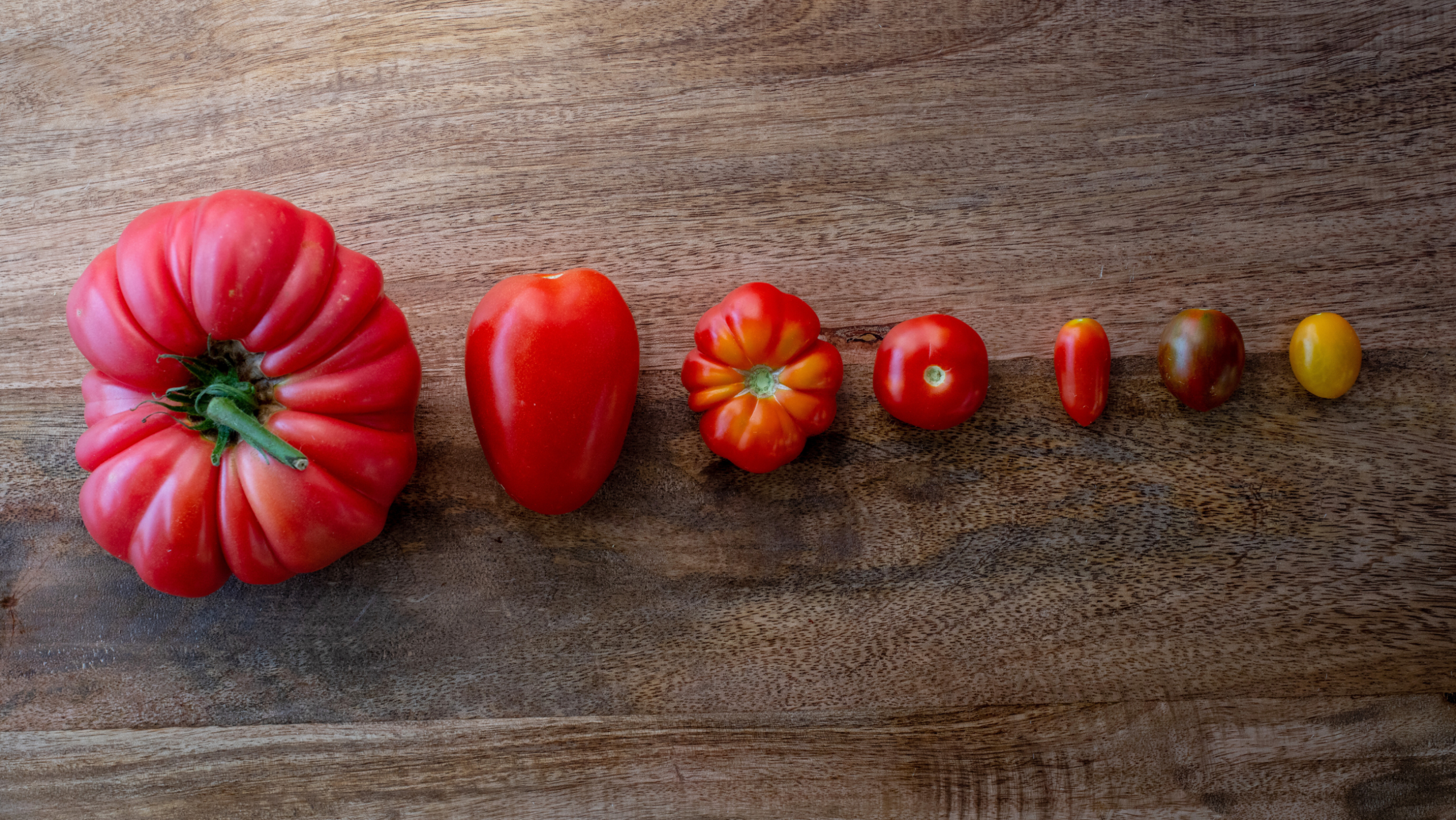 Eat - my dear - what's ours!