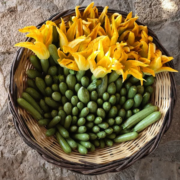 SFOUGGATO ME KOLOKITHAKIA (2)