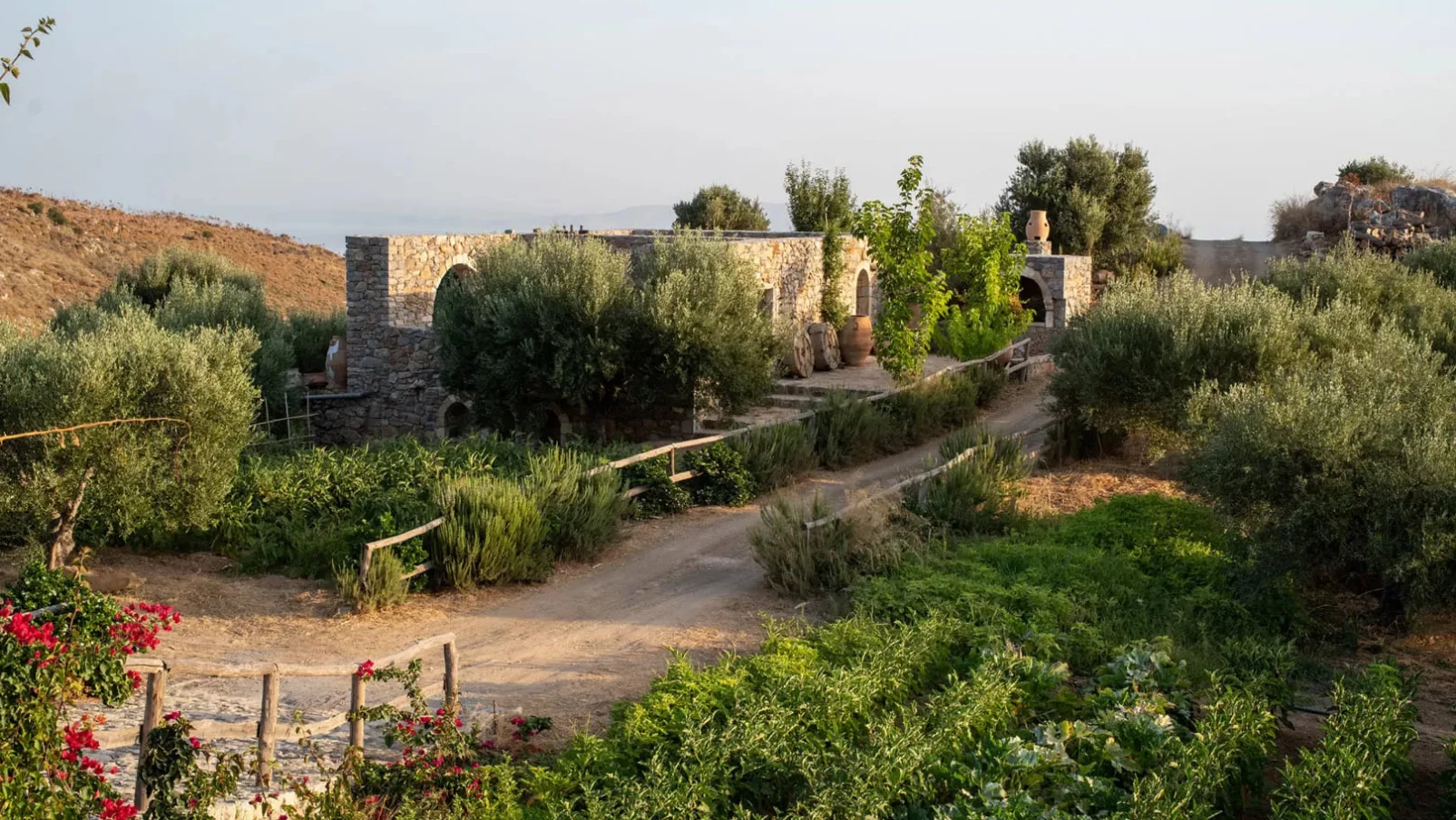 EU ORGANIC AWARDS (8)